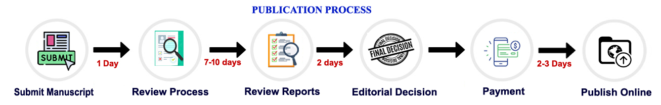 Publication Process Flowchart